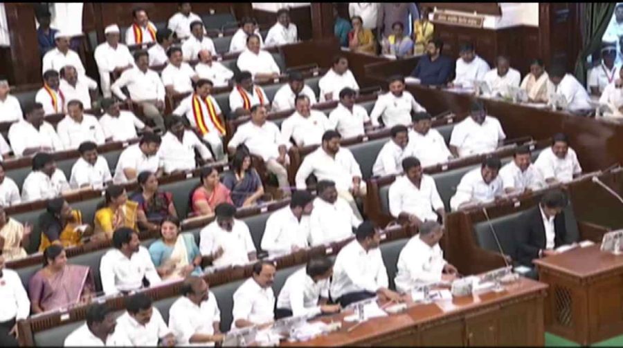tn-mla-n