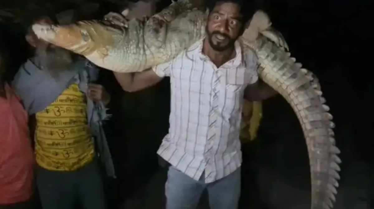 villagers-capture-crocodile