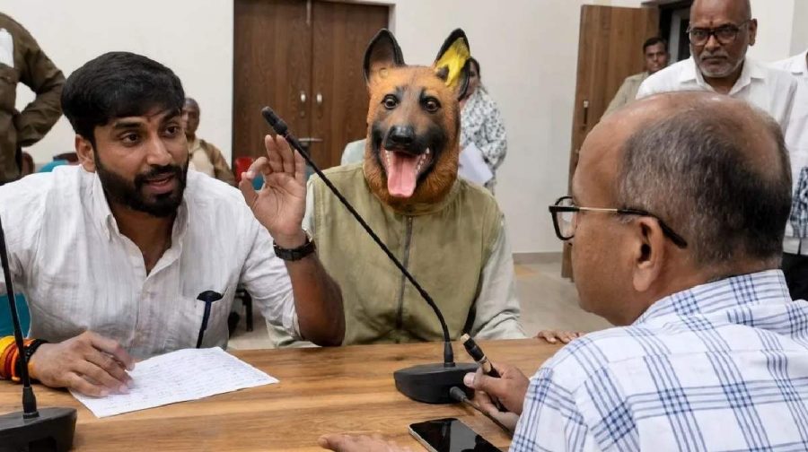 madhyapradesh-straydog