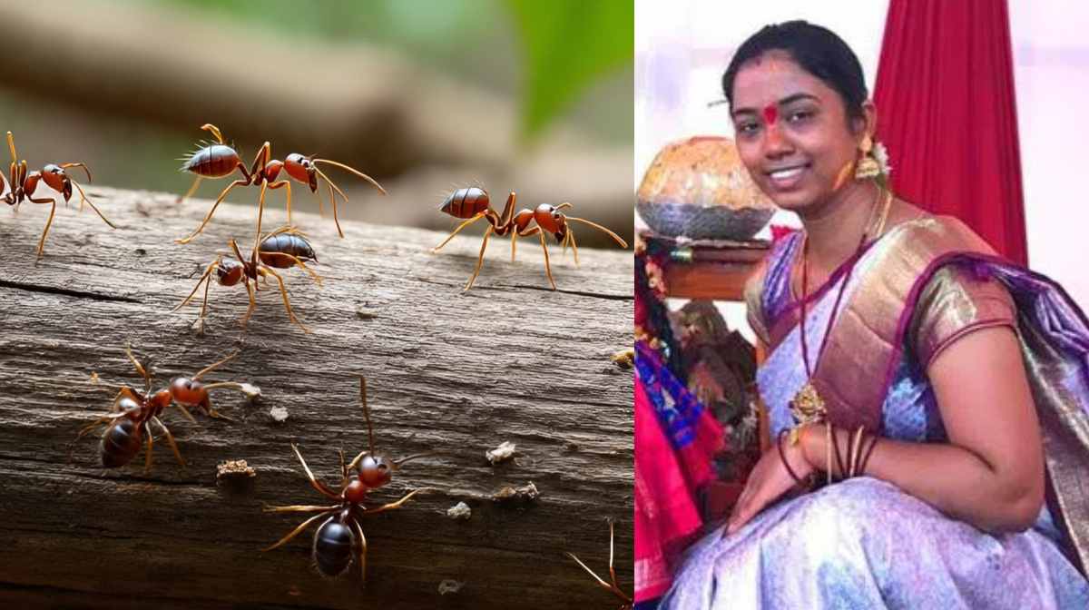 woman-ends-life-fear-of-ants