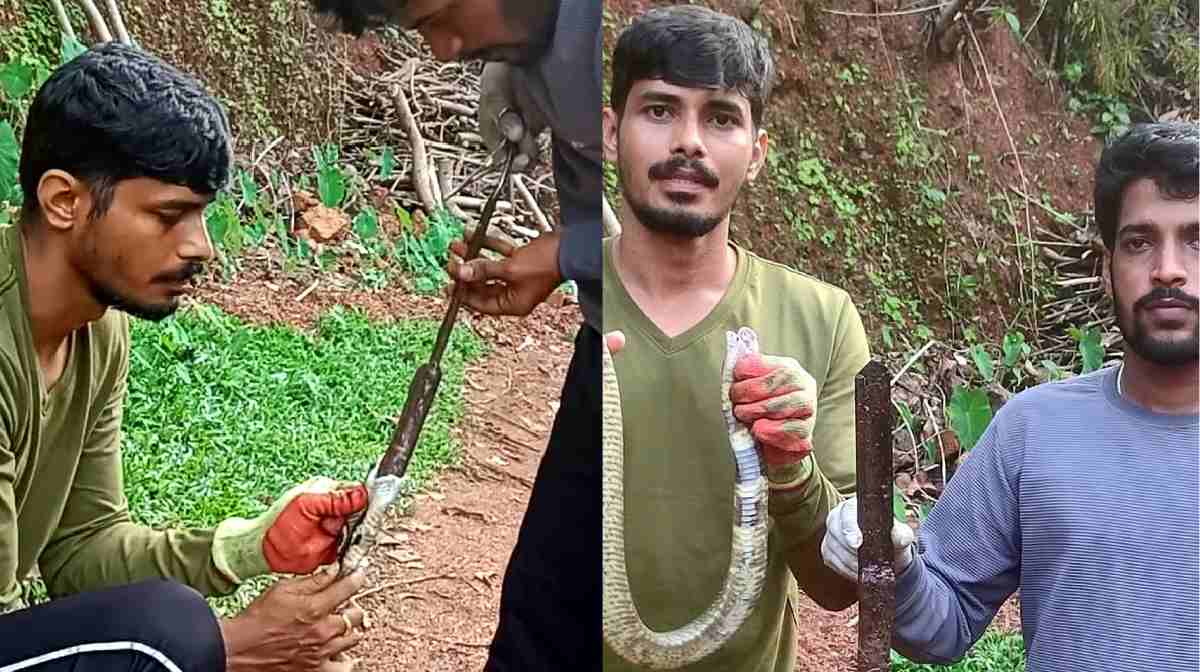 Image Credit: prajavani.net