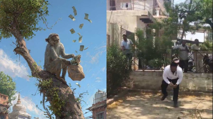 monkey-money