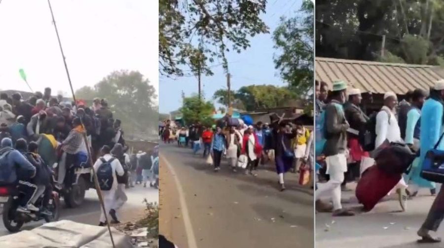 bengal-border