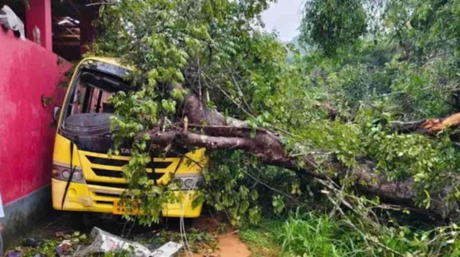 bantwal-school-bus-tree-collapse-student-death