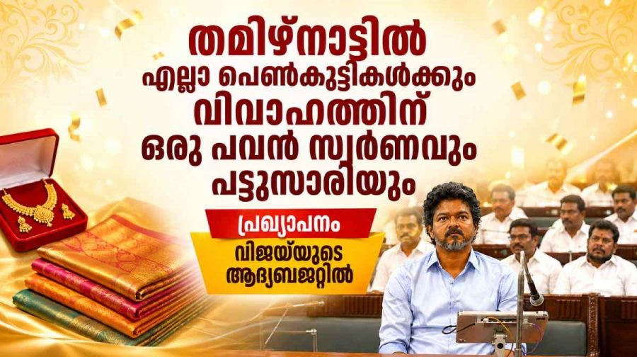 tn-budget-gold