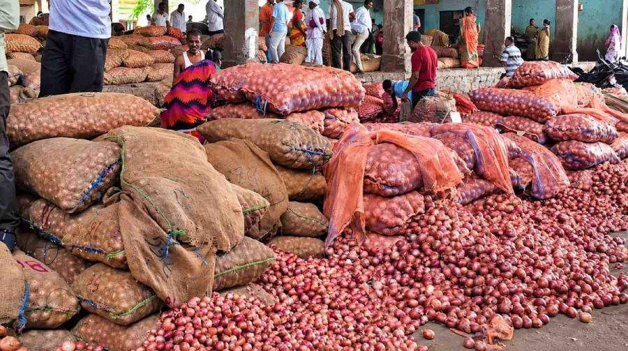 onion-price