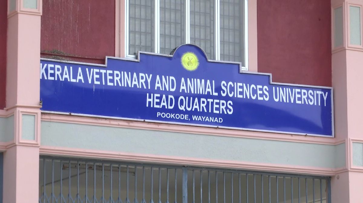 veterinary-university