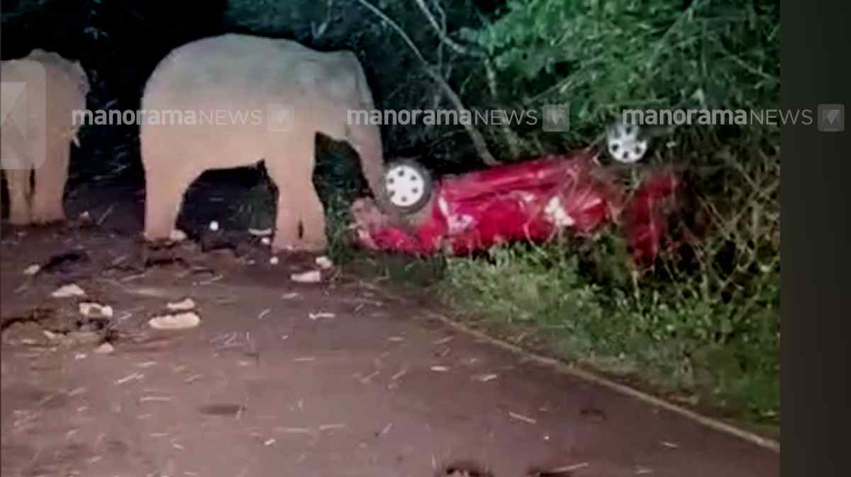 car-damaged-by-athirappilly-elephant