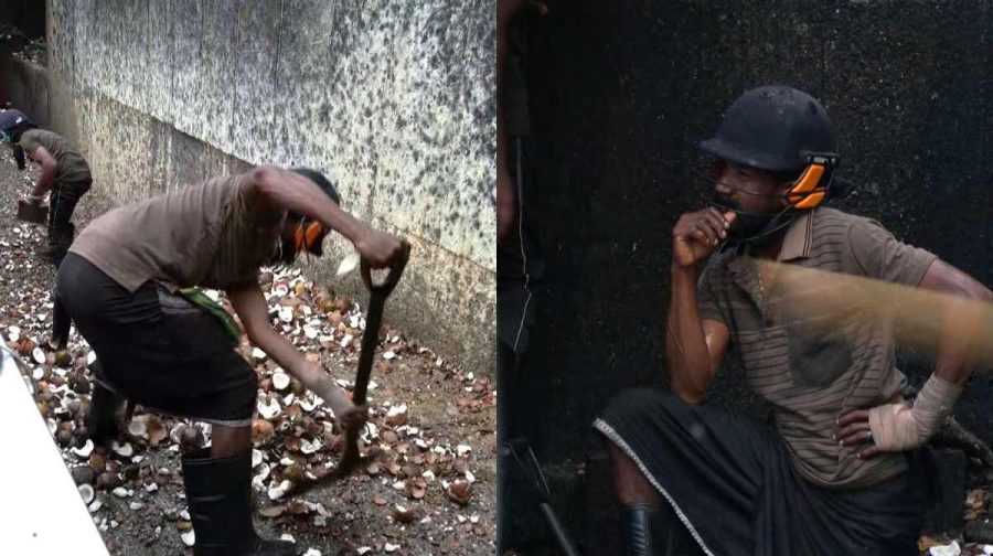 sabarimala-coconut-workers