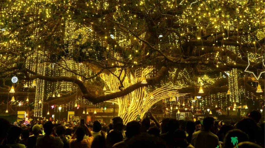 Image: Kerala Tourism