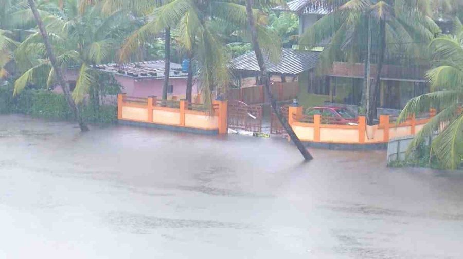 rain-again