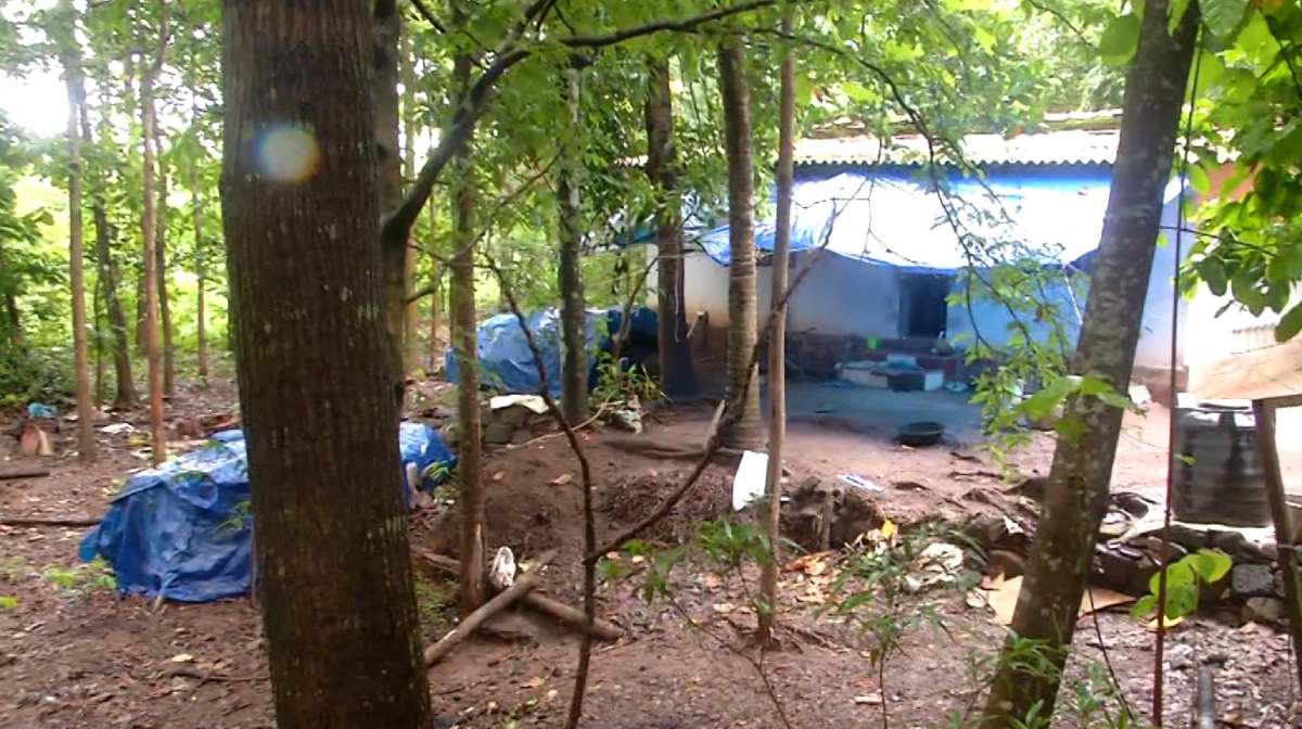 nilambur-jawahar-colony-elephant-threat-election-2025