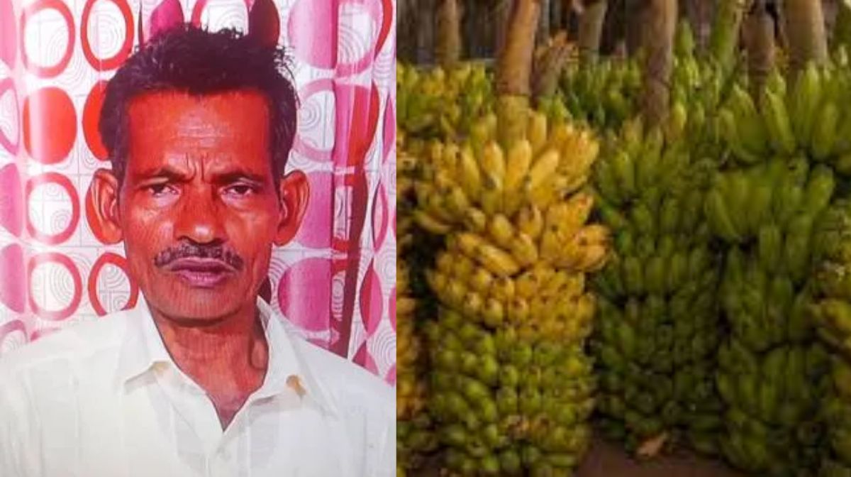 Donated kidneys, corneas, and liver - 1