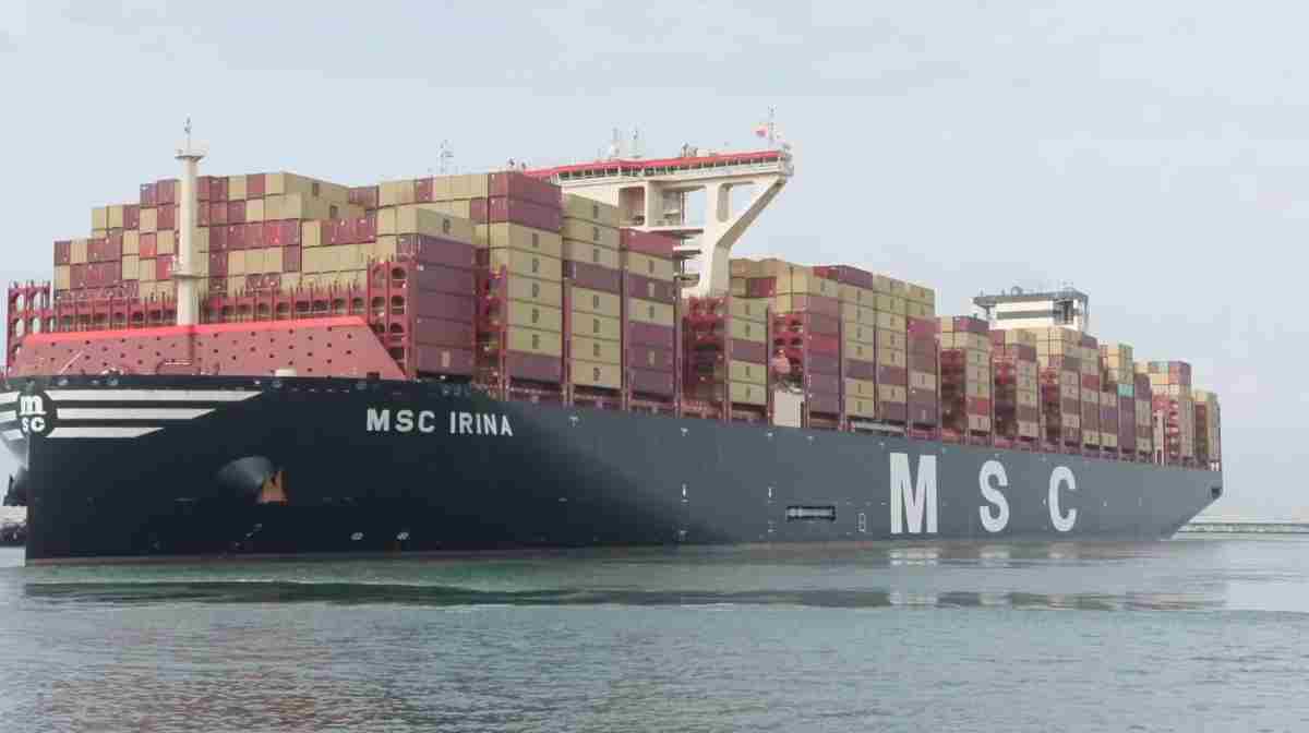 msc-irina