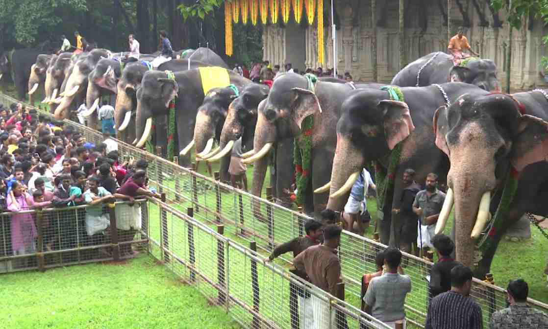 thrissur-vadakkumnathan-temple-aanayootu-elephant-feeding-festival