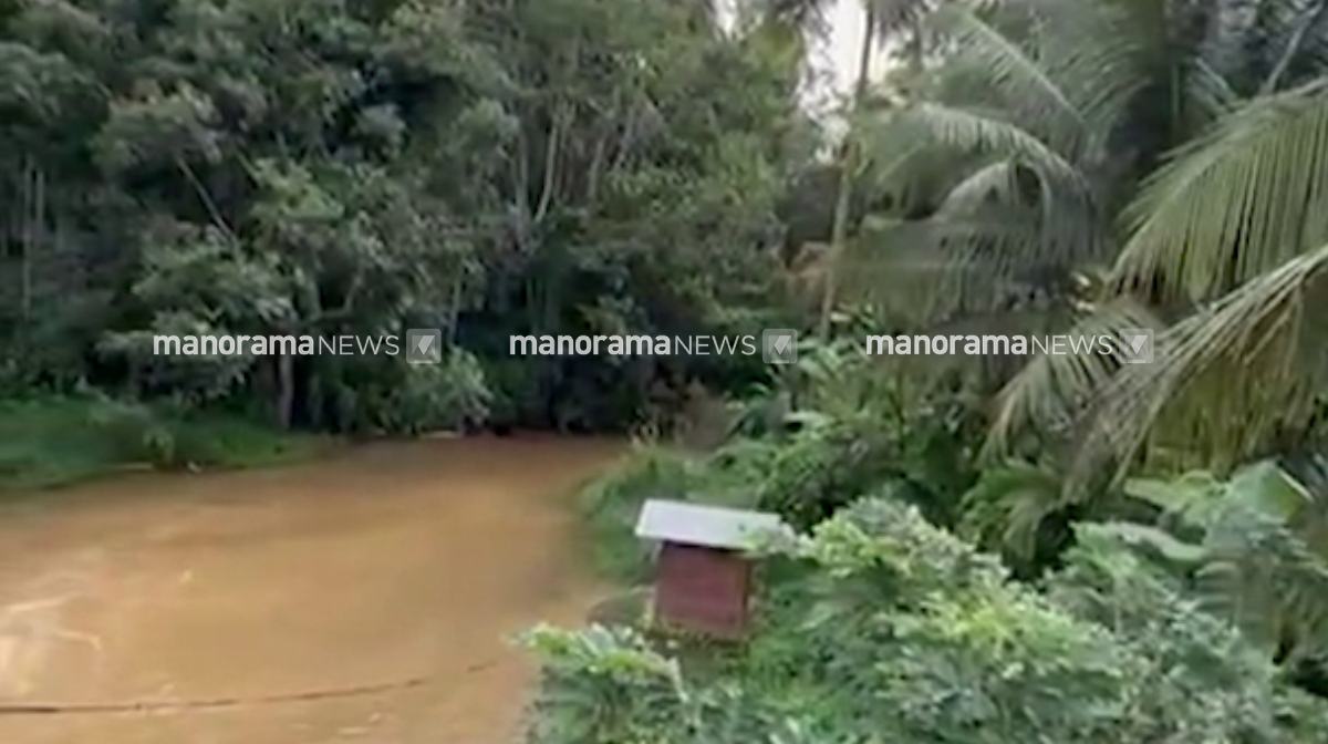 vengara-shock-death-2