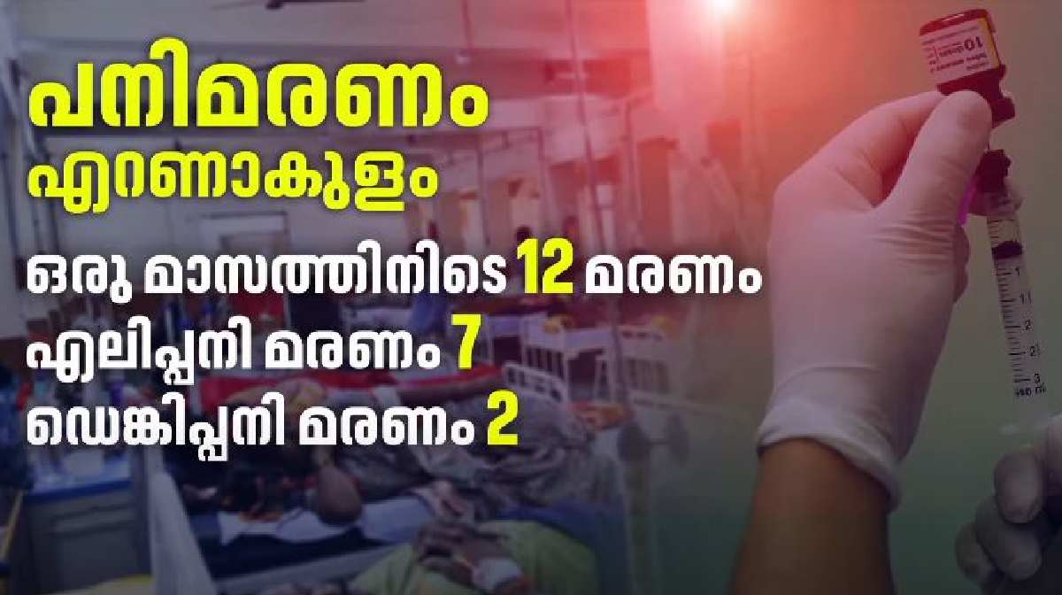fever-cases-spike-ernakulam-kerala