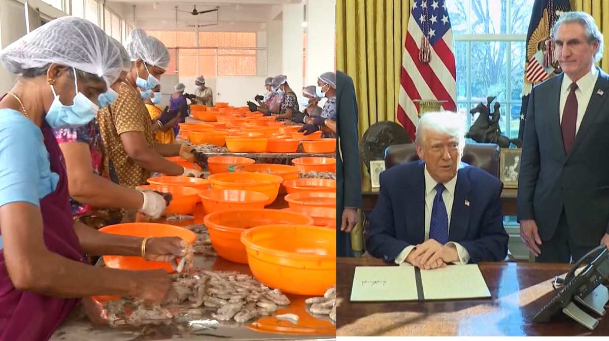 us-tariff-impact-kerala-seafood-sector