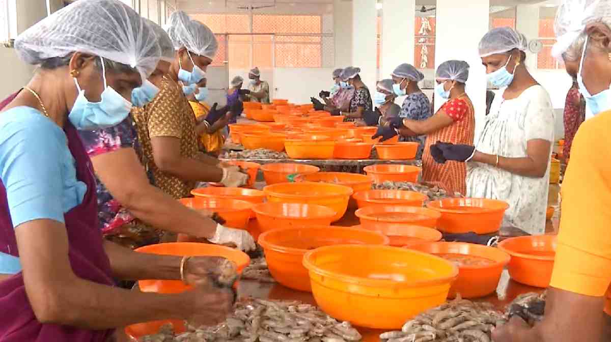 kerala-fish-export-crisis