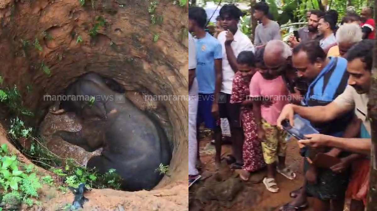 kothamangalam-elephant-34