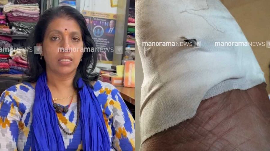 preetha-surgical-blade