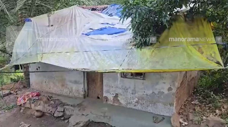 attappadi-adivasi-woman-death-attempt