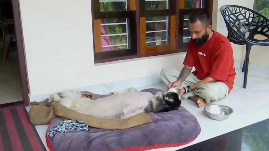 akira-dog-paravur-medical-negligence