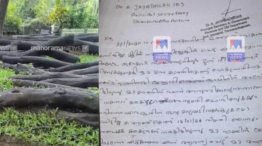 muttil-tree-cutting-jayathilak-2