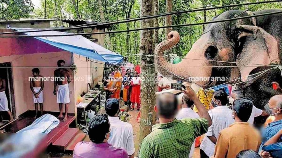 ദാമോദരന്‍ നായരെ അവസാനമായി കാണാന്‍ പല്ലാട്ട് ബ്രഹ്മദത്തന്‍ എത്തിയപ്പോള്‍ (ഫയല്‍ ചിത്രം– മനോരമ)