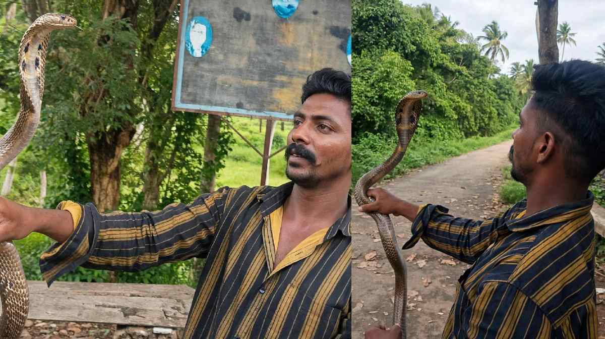 cobra-bite-death-thiruvananthapuram