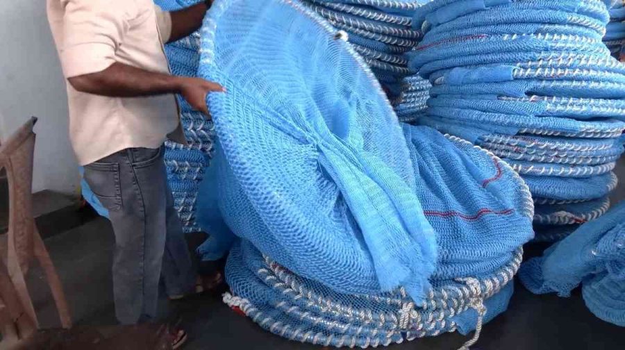 export-fish