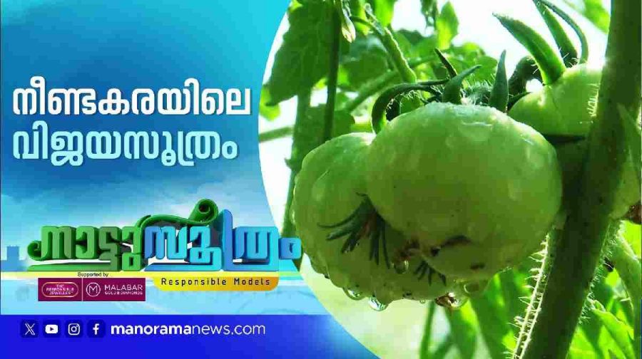 nattusoothram-neendakara