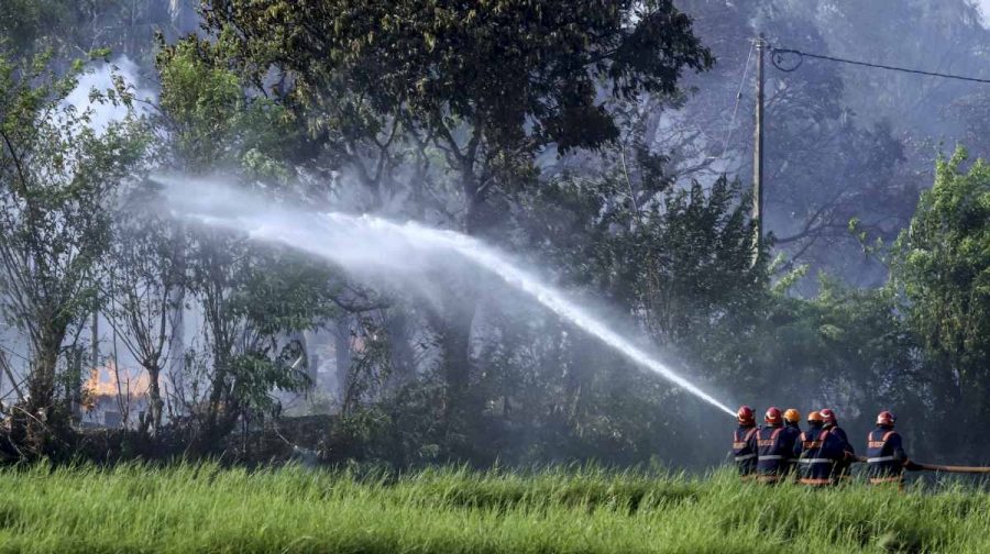 thrissur-explosion-dna-identification