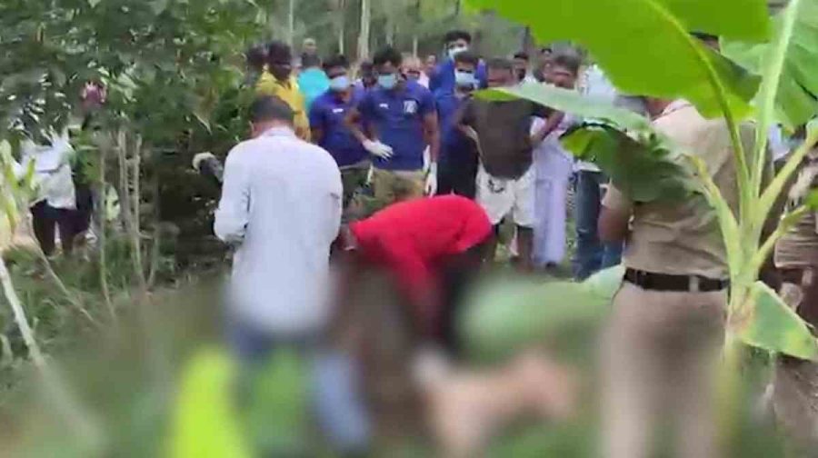 angadipuram-farmer-electrocution-incident