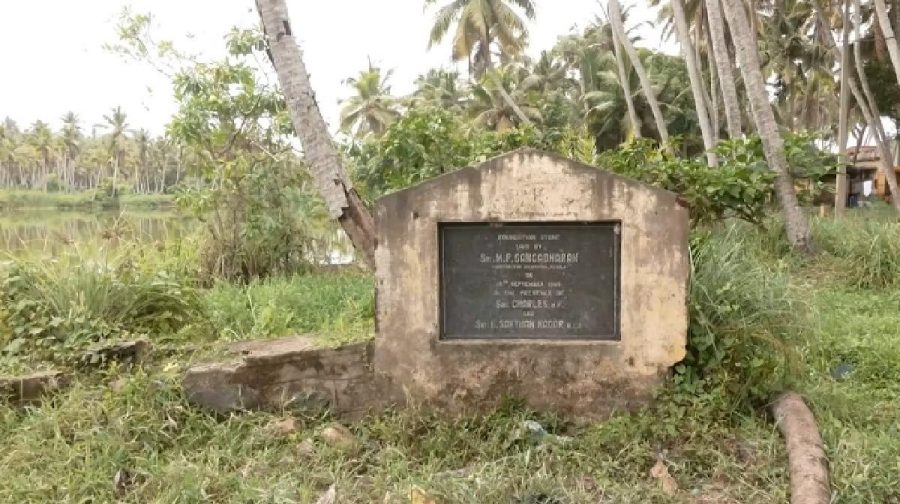 tvm-bridge