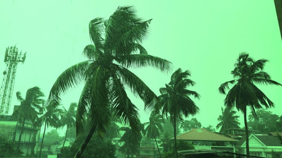 Image: Manorama