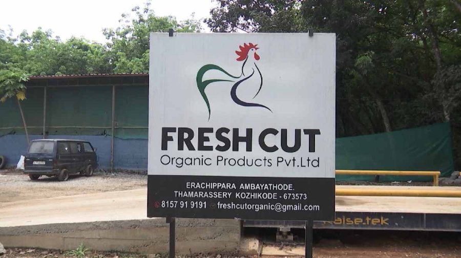 fresh-cut-court-order