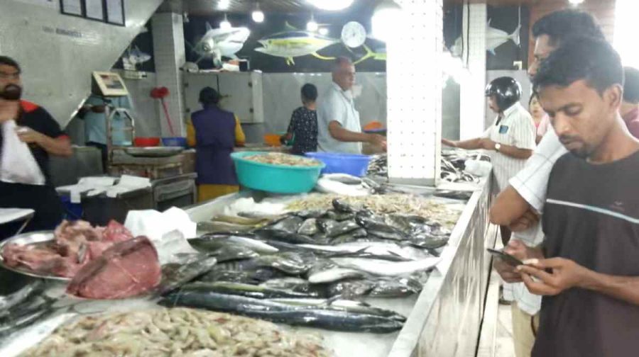 fish-rate-2