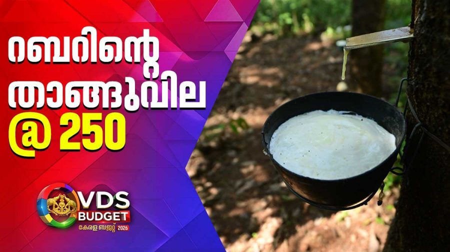 kerala-budget-rubber-farmer-relief