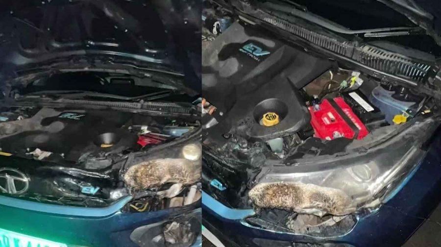 electric-car-fire-kozhikode