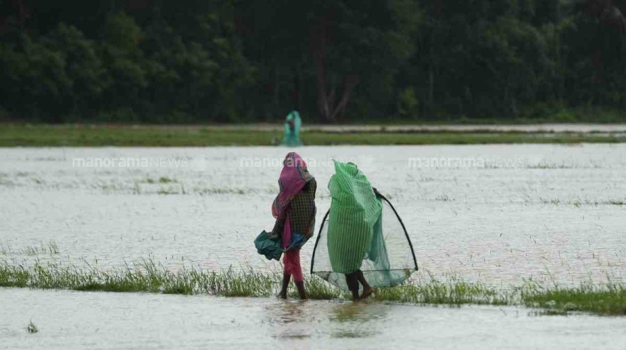 wayanad-red-alert-meppadi-restrictions