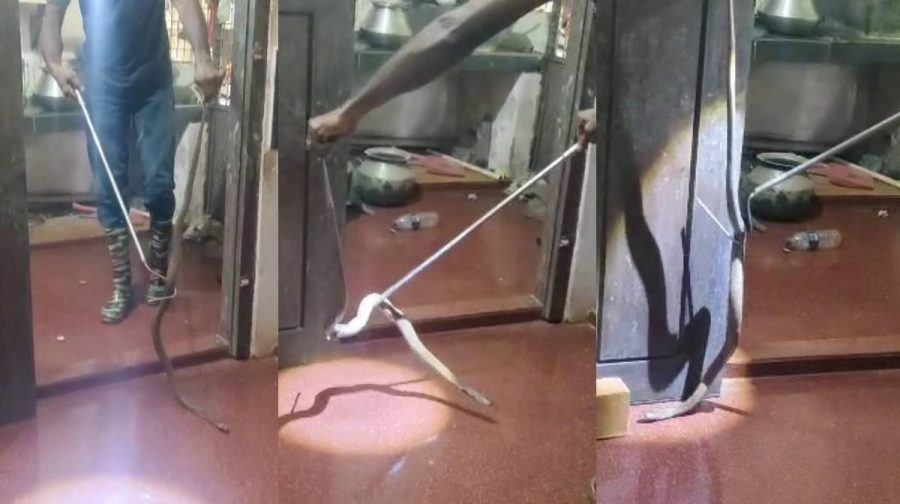 cobra-kitchen-utensils-kerala