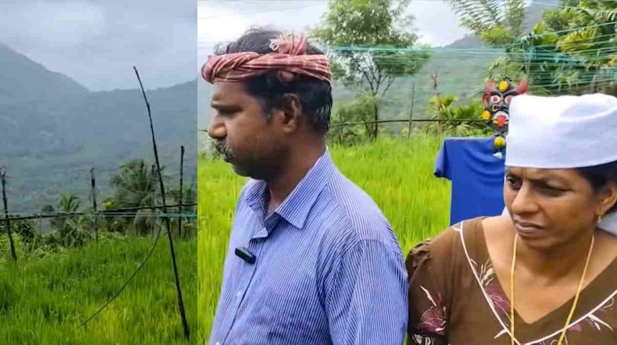 prasad-nellu