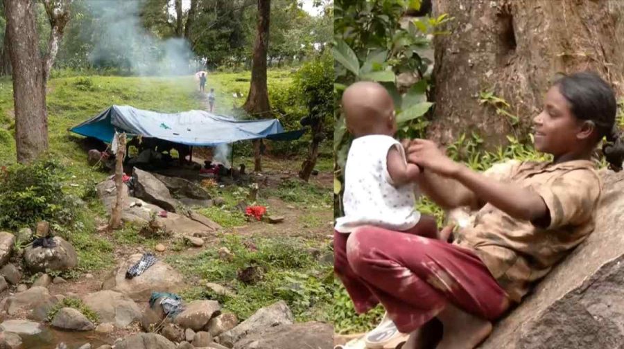 wayanad-lives