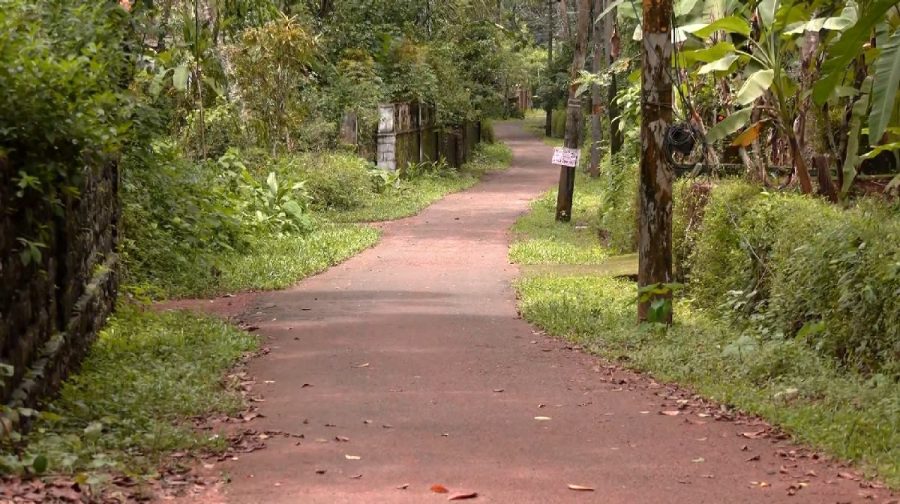 aiims-kinaloor