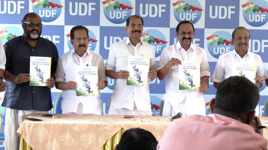 udf-manifesto-election