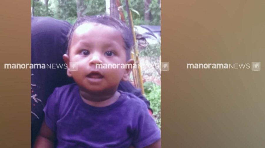 neyyattinkara-appu-death