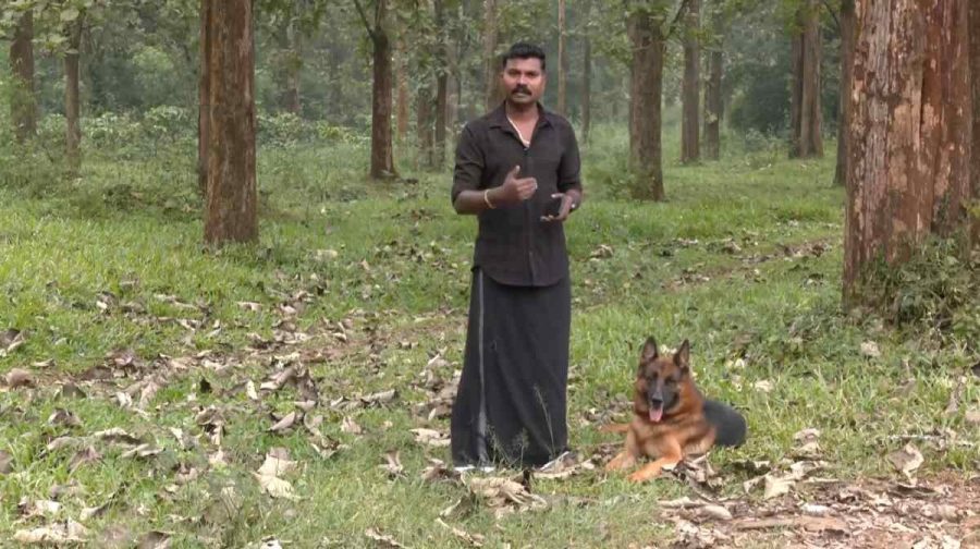 dog-training