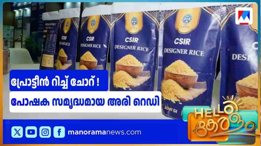 rice