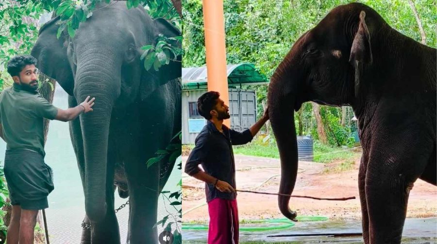 vishnu-elephant-lover